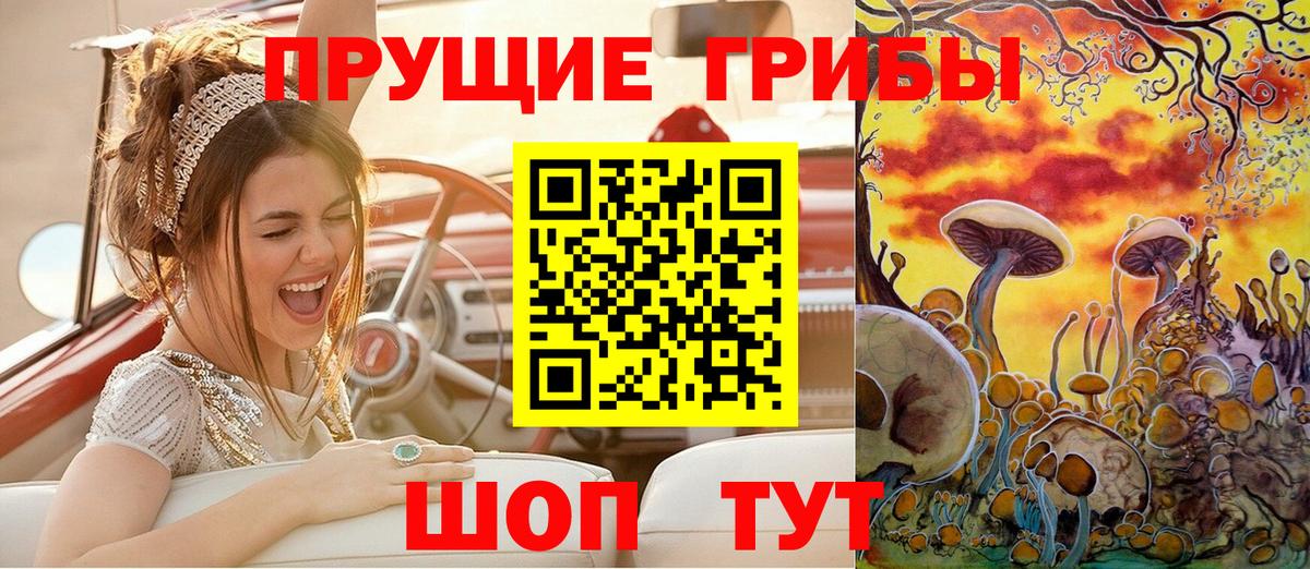 Сальск  Псилоцибиновые грибы мухоморы  Галлюциногенные грибы Psilocybine cubensis  Вход с VPN 