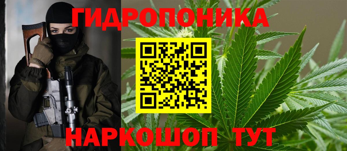 Бошки марихуана семена  Каннабис сатива  Вход с VPN  Бошки Шишки AK-47  Сальск  МАРИХУАНА конопля 